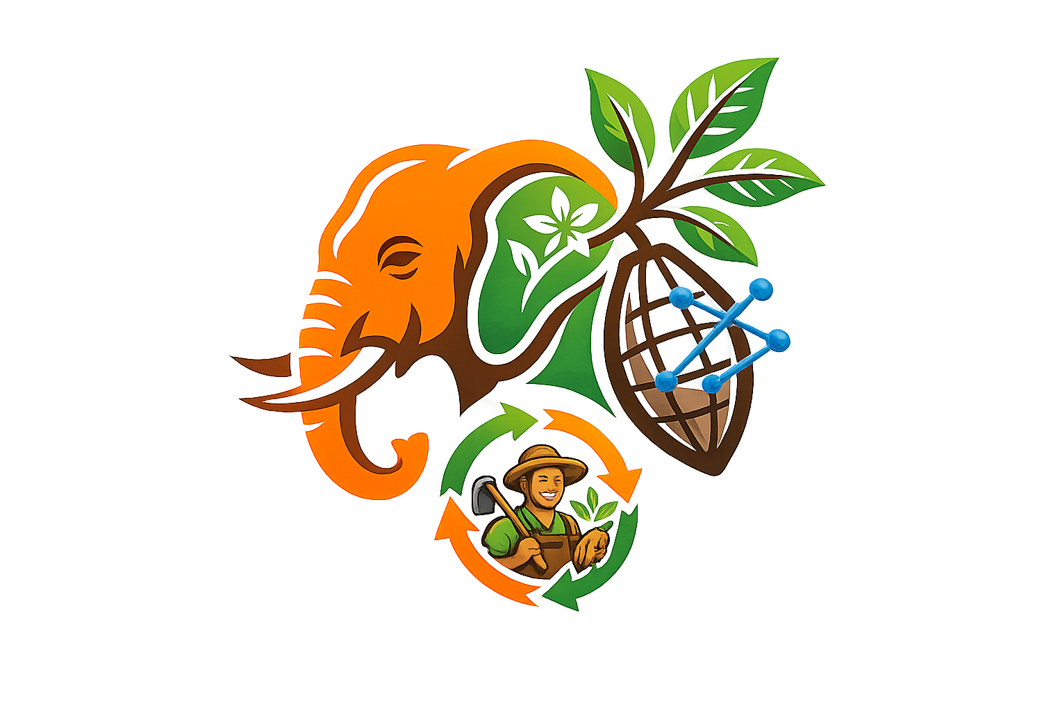 Cacao+